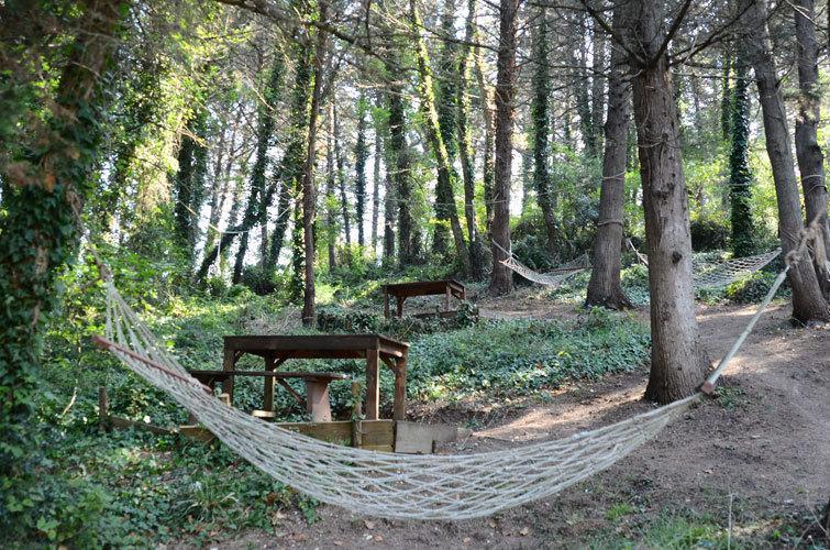 Ekoland Hotel Ağva Eksteriør billede