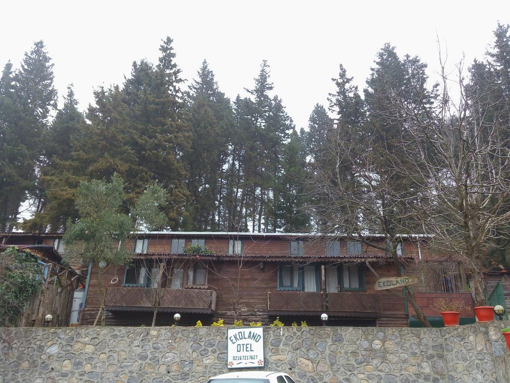 Ekoland Hotel Ağva Eksteriør billede