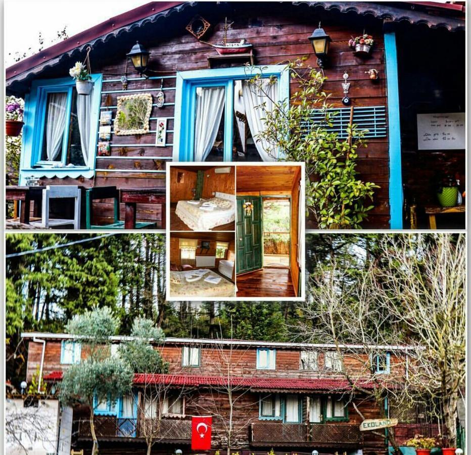 Ekoland Hotel Ağva Eksteriør billede