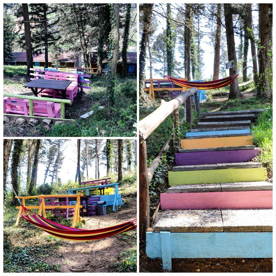 Ekoland Hotel Ağva Eksteriør billede