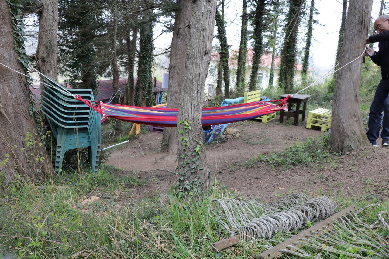 Ekoland Hotel Ağva Eksteriør billede